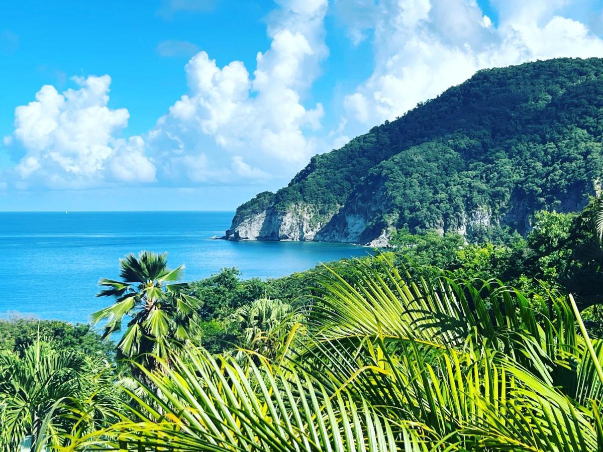 Vue Mer/3Beds/Piscine/Wifi/900 Metres De La Plage Deshaies Kültér fotó