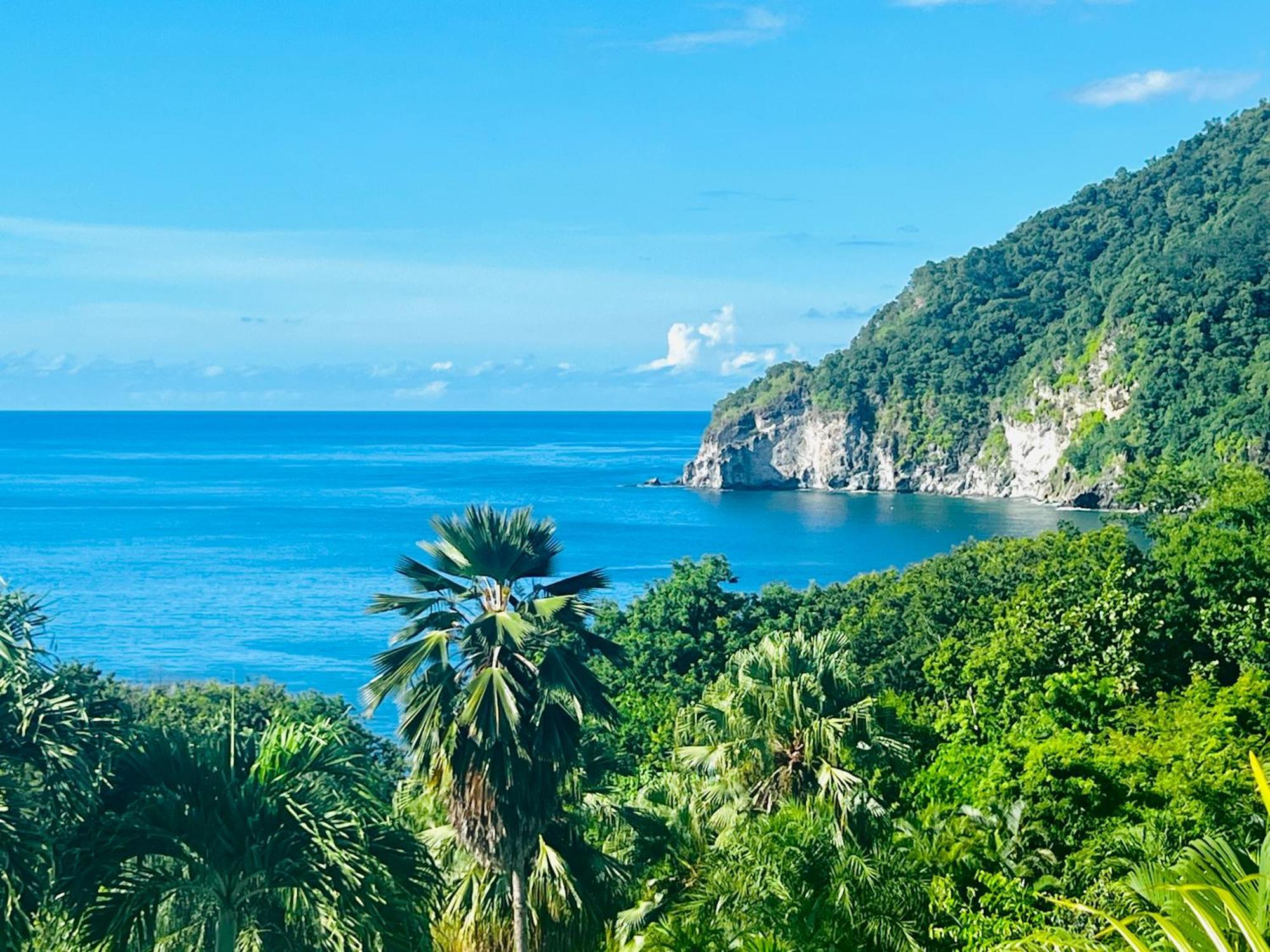 Vue Mer/3Beds/Piscine/Wifi/900 Metres De La Plage Deshaies Kültér fotó